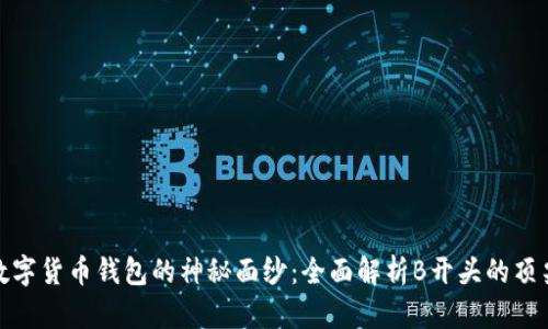 揭开数字货币钱包的神秘面纱:全面解析B开头的顶尖选择