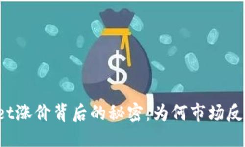 TPWallet涨价背后的秘密:为何市场反应平淡?