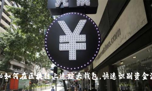 揭秘如何在区块链上追踪大钱包,快速识别资金流动