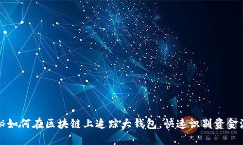 揭秘如何在区块链上追踪大钱包,快速识别资金流动