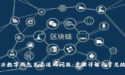 如何解决数字钱包充不进的问题:步骤详解与常见故障排查