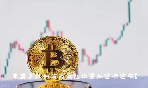 苹果手机如何为钱包设置加密卡密码?
