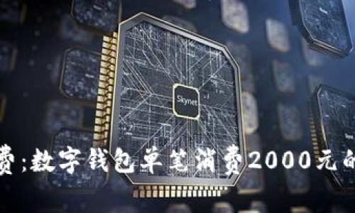 轻松掌控消费:数字钱包单笔消费2000元的全方位解析