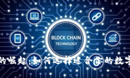 数字钱包的崛起:如何选择适合你的数字钱包产品