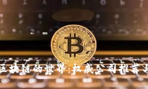 探索区块链的世界:权威公司推荐与分析