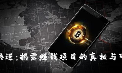 全民共进:揭露赚钱项目的真相与可能性