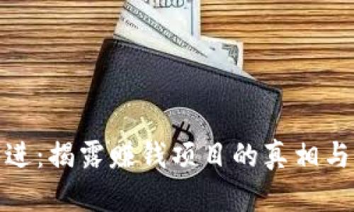 全民共进:揭露赚钱项目的真相与可能性