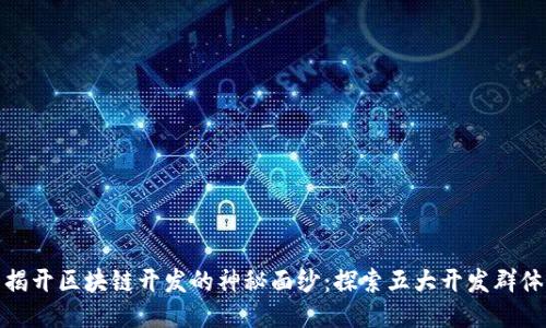 揭开区块链开发的神秘面纱:探索五大开发群体