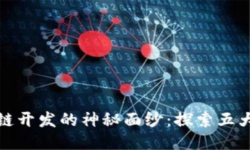 揭开区块链开发的神秘面纱:探索五大开发群体
