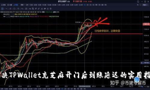 解决TPWallet充芝麻开门后到账延迟的实用指南