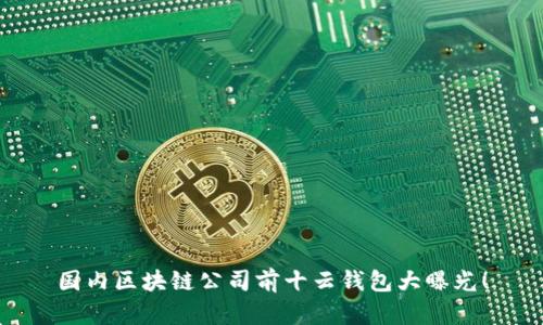 国内区块链公司前十云钱包大曝光!