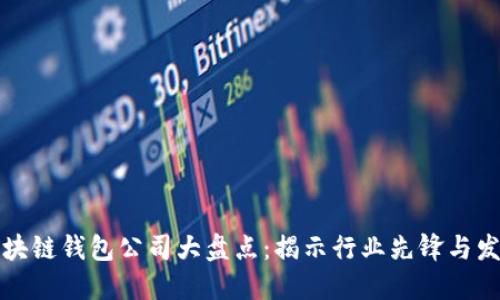 深圳区块链钱包公司大盘点:揭示行业先锋与发展动态