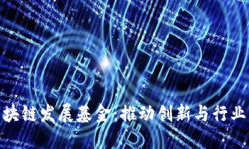 探索深圳区块链发展基金:推动创新与行业应用的先锋