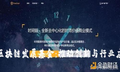 探索深圳区块链发展基金:推动创新与行业应用的先锋