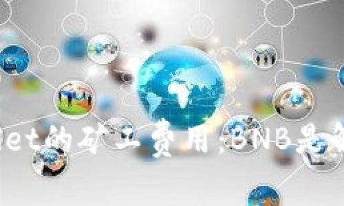 探索TPWallet的矿工费用:BNB是解决方案吗?