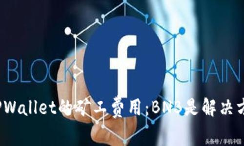 探索TPWallet的矿工费用:BNB是解决方案吗?