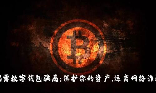 揭露数字钱包骗局:保护你的资产,远离网络诈骗