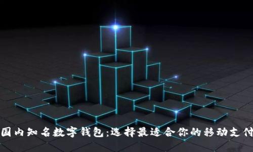 探索国内知名数字钱包:选择最适合你的移动支付工具