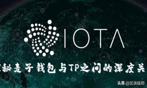 探秘麦子钱包与TP之间的深度关联