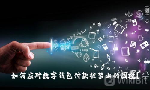 如何应对数字钱包付款被禁止的困境?