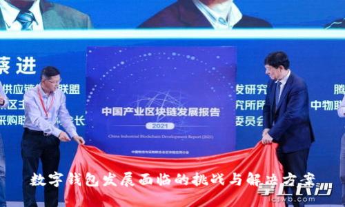 数字钱包发展面临的挑战与解决方案