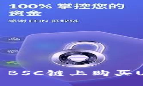 如何在TPWallet BSC链上购买U币:一步一步指南