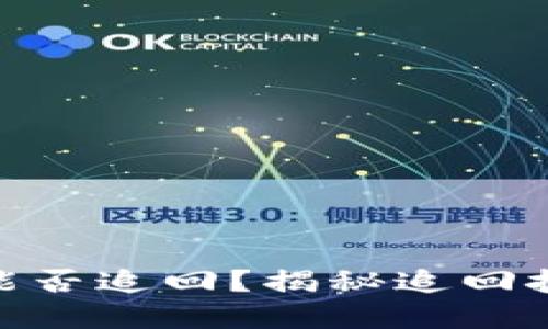 数字钱包转账能否追回?揭秘追回技巧与防范措施