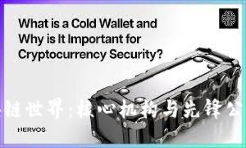 探索区块链世界：核心机构与先锋公司大揭秘