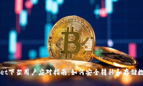 TPWallet下架用户应对指南:如何安全转移和存储数字资产