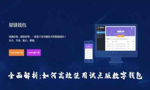 全面解析：如何高效使用试点版数字钱包