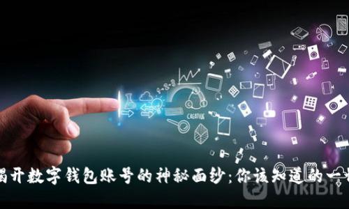 揭开数字钱包账号的神秘面纱:你该知道的一切