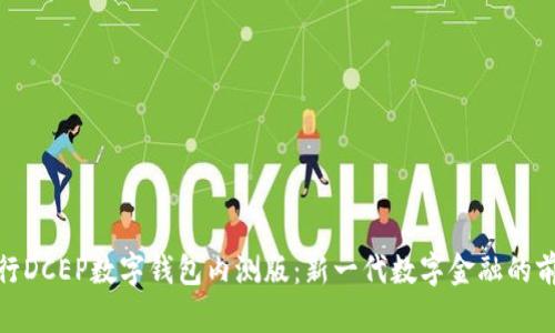 探索农行DCEP数字钱包内测版:新一代数字金融的前沿体验
