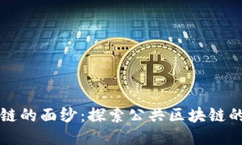 揭开区块链的面纱:探索公共区块链的多种类型