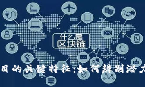 探索优秀区块链项目的关键特征:如何辨别潜力巨大的区块链项目