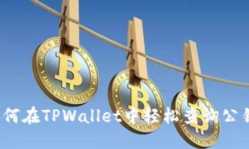 如何在TPWallet中轻松查询公钥？