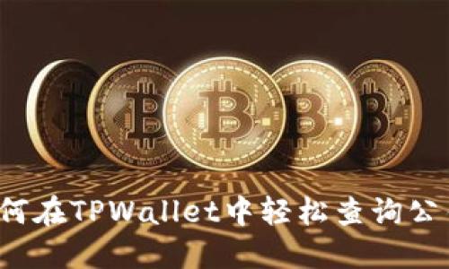 如何在TPWallet中轻松查询公钥？