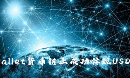 如何在TPWallet货币链上成功体现USDT：全面指南