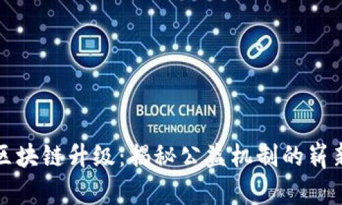 探索区块链升级：揭秘公益机制的崭新未来
