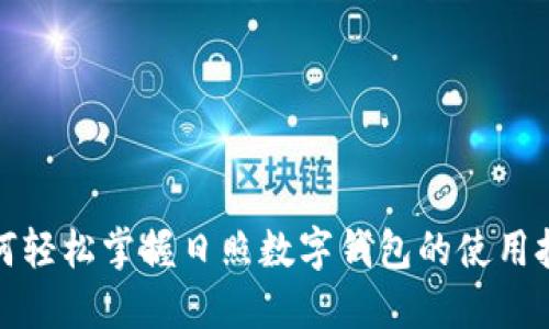 如何轻松掌握日照数字钱包的使用技巧
