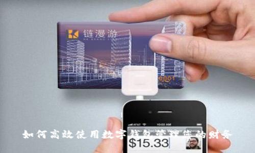 如何高效使用数字钱包管理您的财务