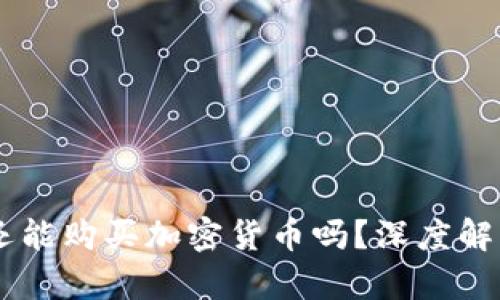 TP Wallet 还能购买加密货币吗？深度解析与解决方案