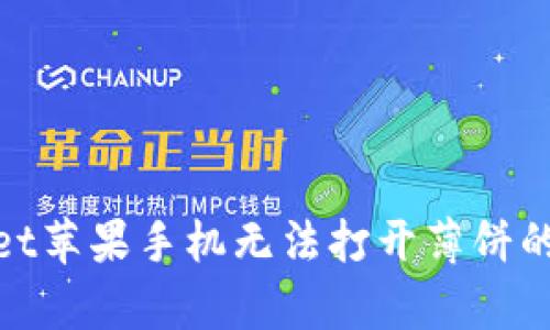 解决tpwallet苹果手机无法打开薄饼的技巧与步骤