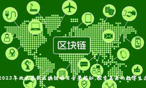 2023年北京最新区块链项目全景揭秘，探索未来的数字生态