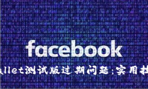 如何应对TPWallet测试版过期问题：实用技巧与解决方案