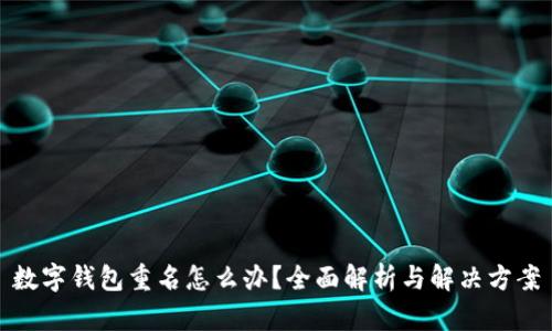 数字钱包重名怎么办?全面解析与解决方案