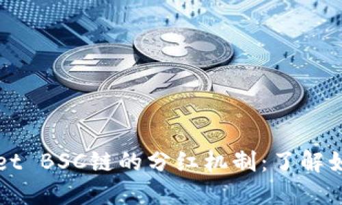 探索TPWallet BSC链的分红机制：了解如何获取收益