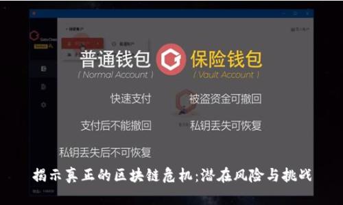 揭示真正的区块链危机:潜在风险与挑战