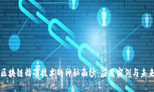 揭开区块链精准技术的神秘面纱：应用实例与未来展望