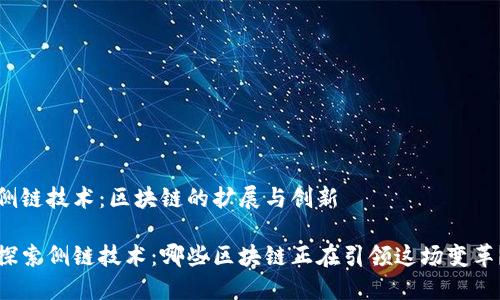 侧链技术:区块链的扩展与创新
探索侧链技术:哪些区块链正在引领这场变革?