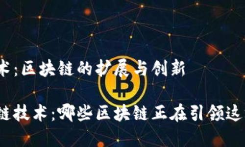 侧链技术:区块链的扩展与创新
探索侧链技术:哪些区块链正在引领这场变革?
